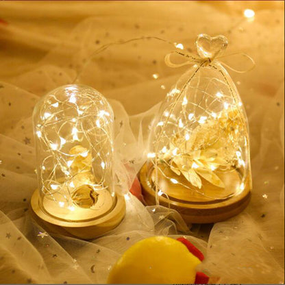 LED Copper Wire Fairy Lights
