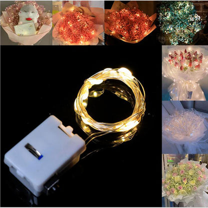 LED Copper Wire Fairy Lights